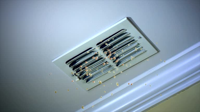 Best Ductwork Cleaning Services  in Orchard City, CO