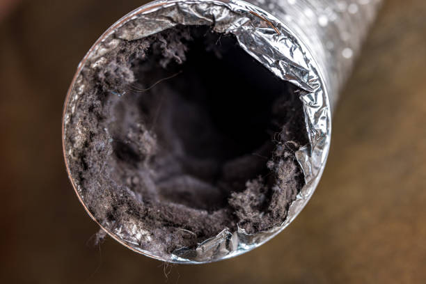 Best Air Duct Inspection  in Orchard City, CO